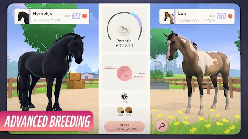 Equestrian the Game апк скриншот 5